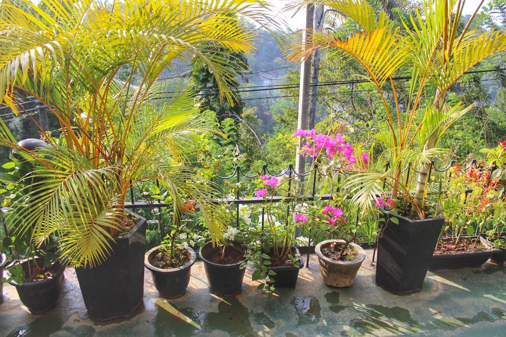 Yes Paradise Kandy Dış mekan fotoğraf